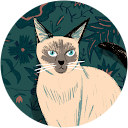 delplanches patricia Avatar